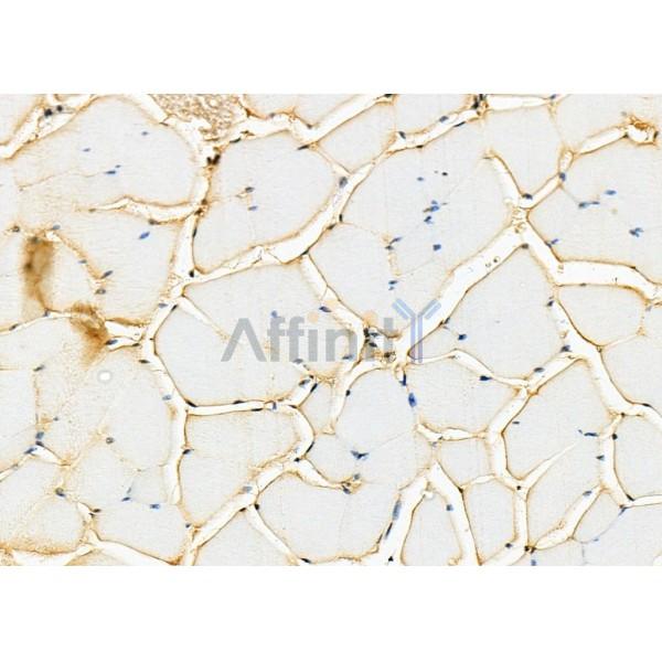 Валидация Affinity DF8237 - 20070