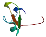 Maltase Glucoamylase, Intestinal (MGA)