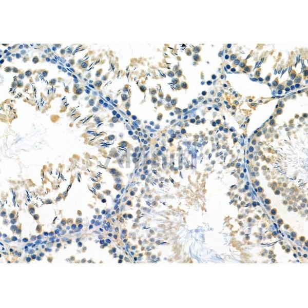 Валидация Affinity DF7528 - 19277