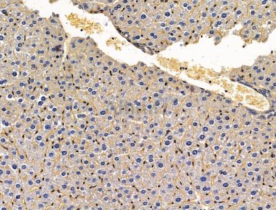 Валидация Affinity DF15078 - 11319