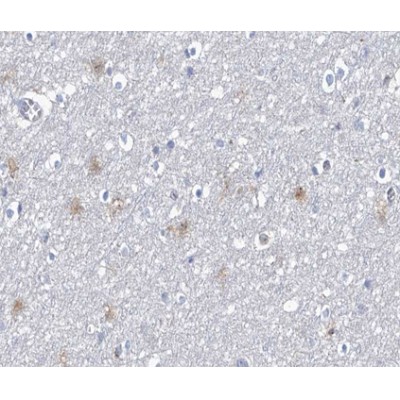 Валидация Affinity AF3473 - 1993