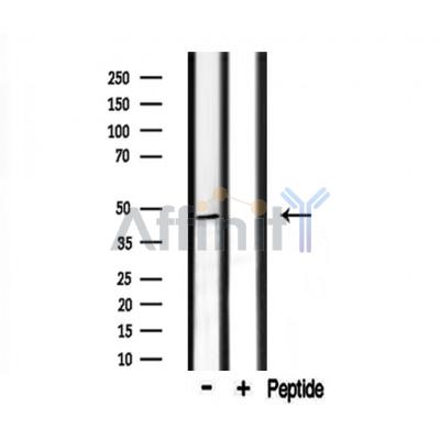 Валидация Affinity DF3536 - 14478