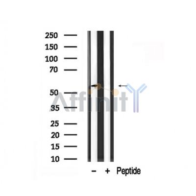 Валидация Affinity AF7844 - 4576