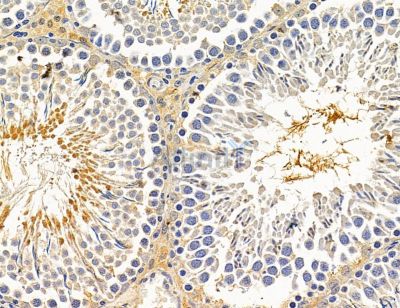 Валидация Affinity DF14727 - 10799