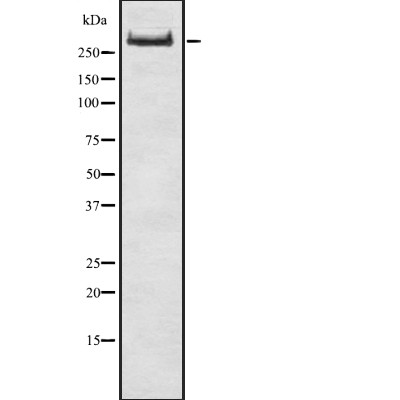 Валидация Affinity DF7885 - 19705