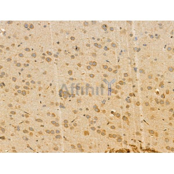 Валидация Affinity DF12201 - 6453