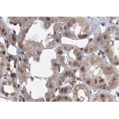 Валидация Affinity AF3492 - 2023