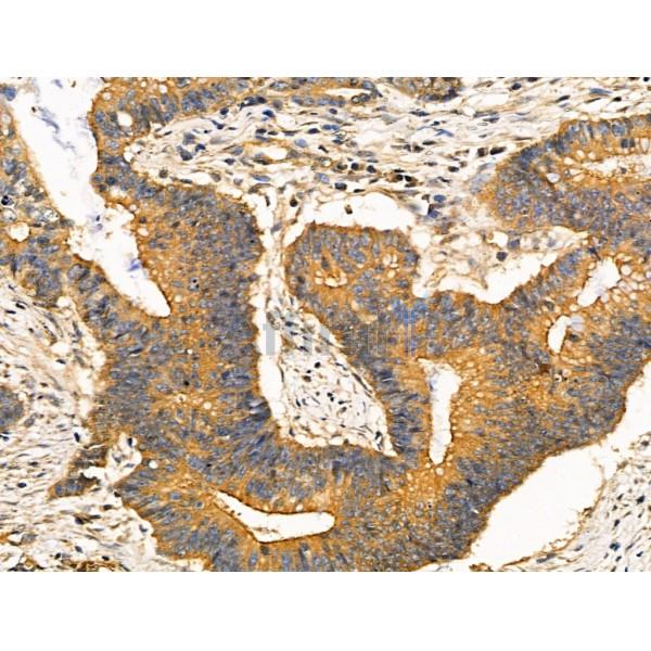 Валидация Affinity AF5469 - 3132