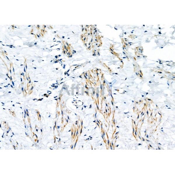 Валидация Affinity DF4047 - 15309