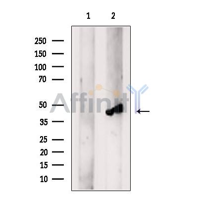 Валидация Affinity DF9600 - 22301