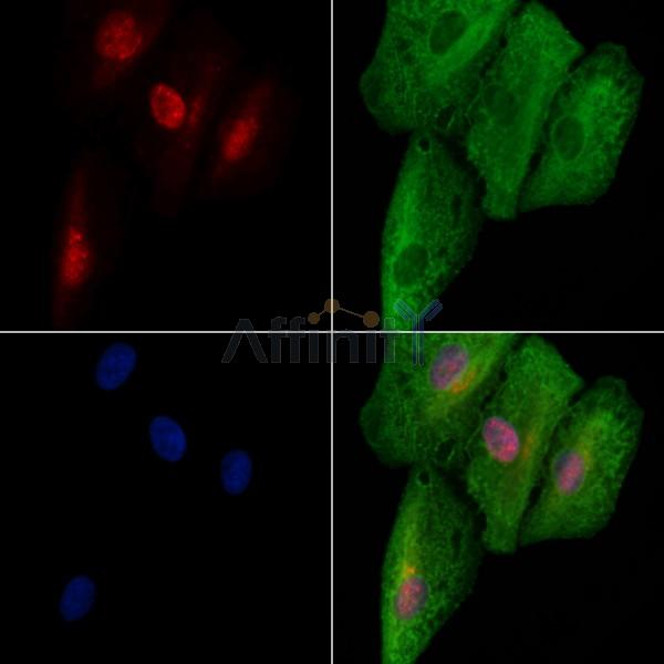 Валидация Affinity DF2591 - 13276