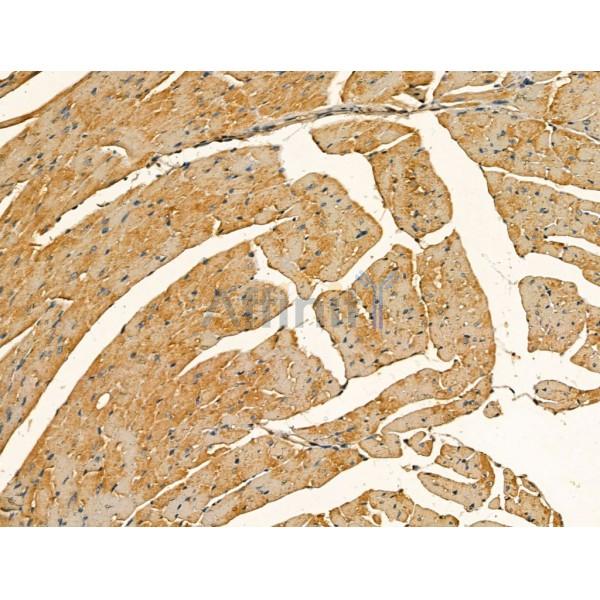 Валидация Affinity DF13212 - 8223