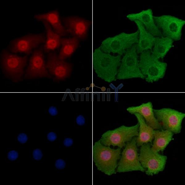 Валидация Affinity DF3482 - 14399