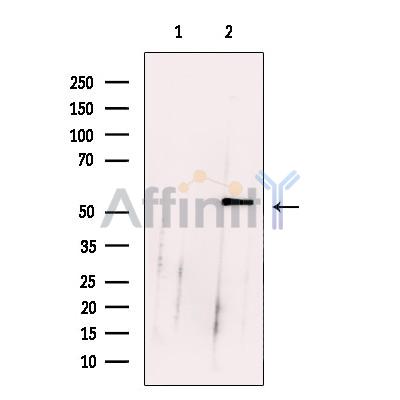 Валидация Affinity DF13230 - 8270