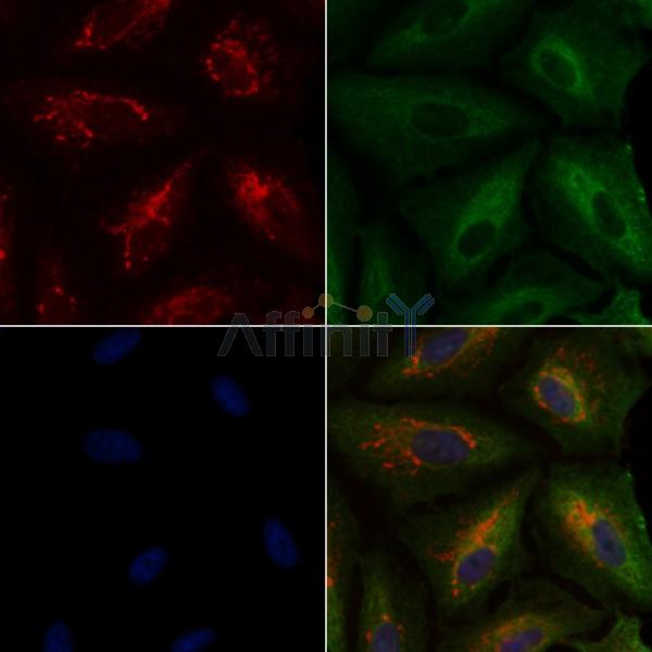 Валидация Affinity DF6481 - 17877