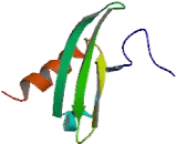 Granulocyte Chemotactic Protein 2 (GCP2) Granulocyte Chemotactic Protein 2 (GCP2)