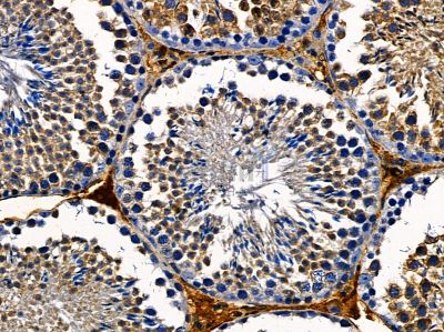 Валидация Affinity DF14355 - 10266