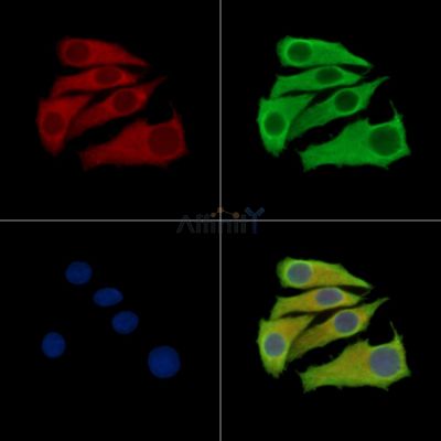 Валидация Affinity DF15512 - 11894