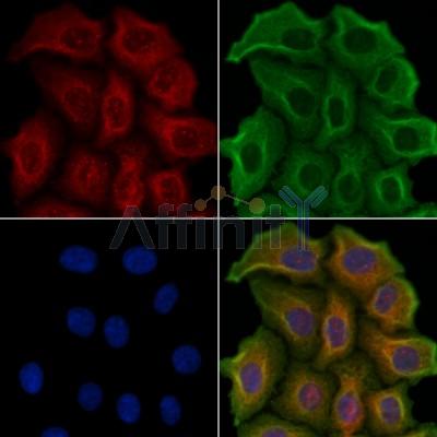 Валидация Affinity DF3501 - 14424