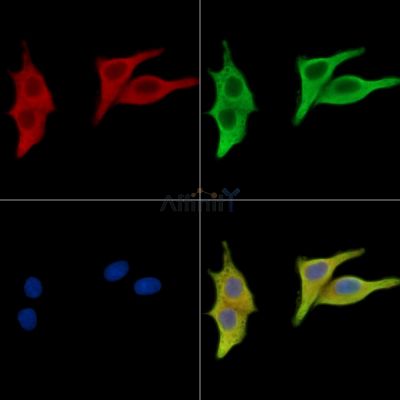 Валидация Affinity DF15630 - 12065