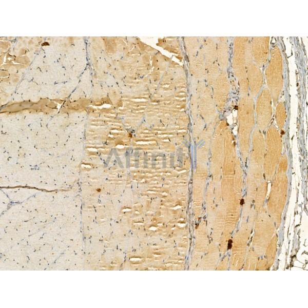 Валидация Affinity DF12197 - 6441