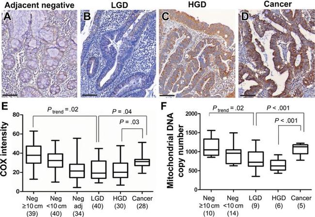 Валидация AssayVector ARM1364(1000)