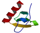 Chemokine C-X3-C-Motif Ligand 1 (CX3CL1) Chemokine C-X3-C-Motif Ligand 1 (CX3CL1)