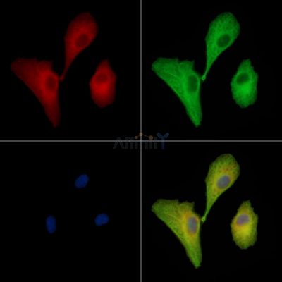 Валидация Affinity DF13922 - 9668