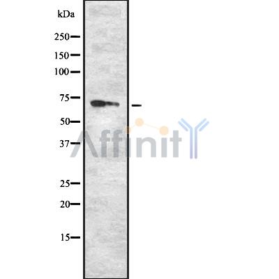 Валидация Affinity DF8392 - 20263
