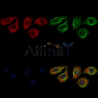 Валидация Affinity AF7714 - 4406