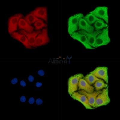 Валидация Affinity DF15426 - 11764