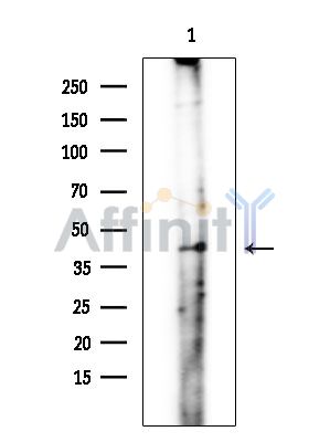 Валидация Affinity DF4058 - 15325