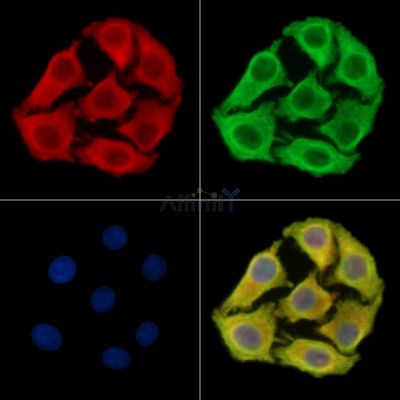 Валидация Affinity DF14021 - 9784