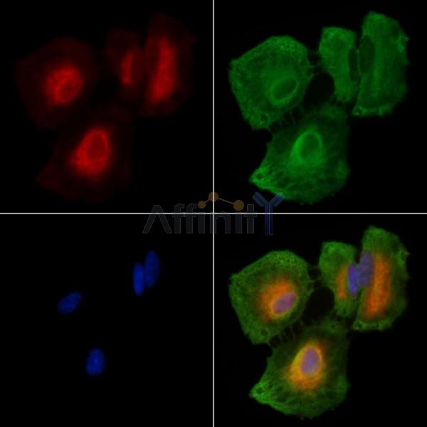 Валидация Affinity DF8724 - 20734