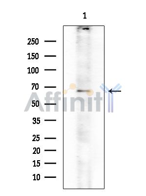 Валидация Affinity DF8387 - 20256