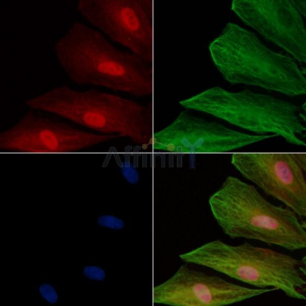 Валидация Affinity DF7326 - 19022