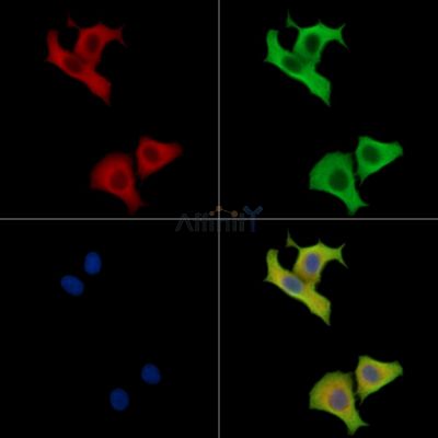 Валидация Affinity DF15660 - 12103