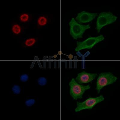 Валидация Affinity AF4356 - 2193