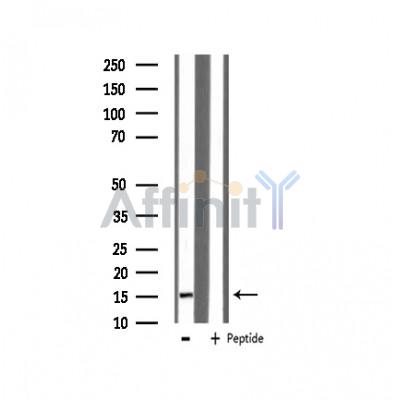 Валидация Affinity AF6135 - 3355