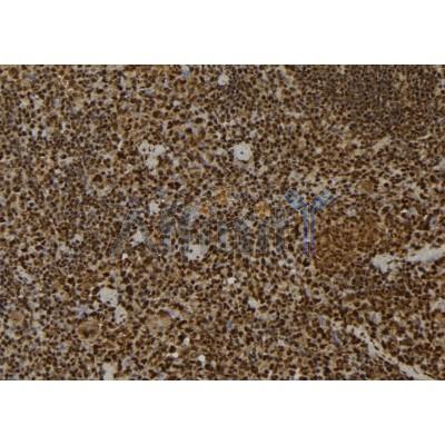 Валидация Affinity DF7328 - 19025