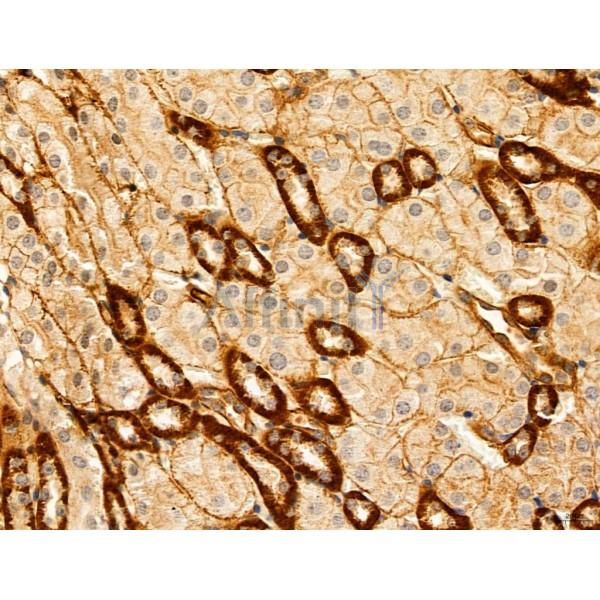 Валидация Affinity DF12141 - 6319