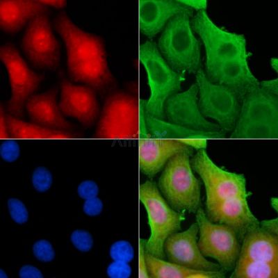 Валидация Affinity DF8375 - 20245