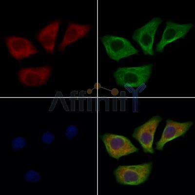 Валидация Affinity AF7862 - 4601