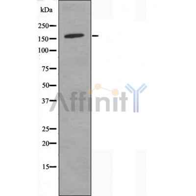 Валидация Affinity AF5264 - 2777