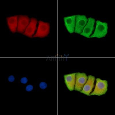 Валидация Affinity DF13990 - 9743