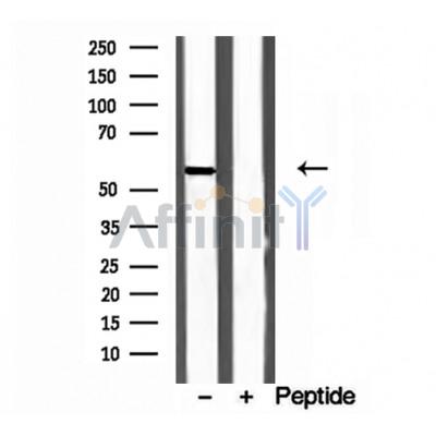 Валидация Affinity DF12194 - 6434