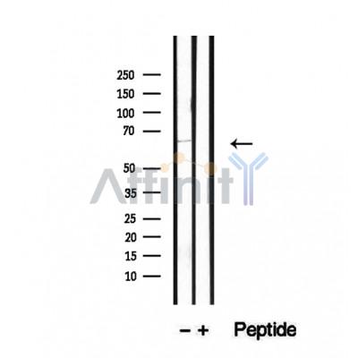 Валидация Affinity DF12492 - 7064