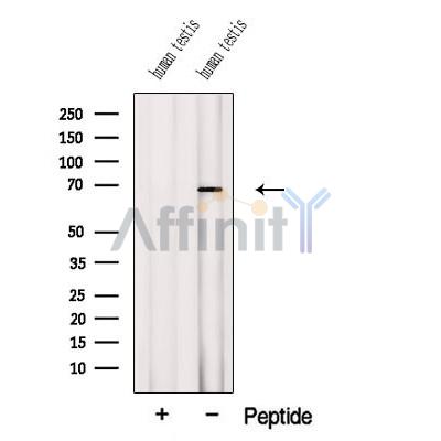 Валидация Affinity DF12526 - 7125