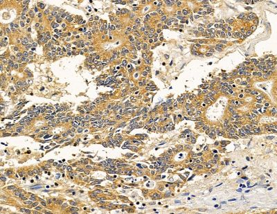 Валидация Affinity DF14812 - 10916