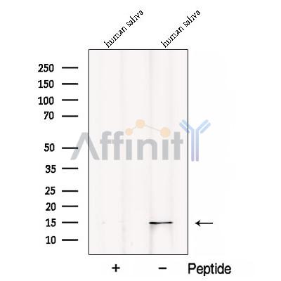 Валидация Affinity DF12923 - 7676